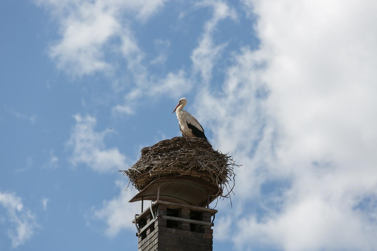 Stadthotel Zur Goldenen Krone Weiz Kültér fotó